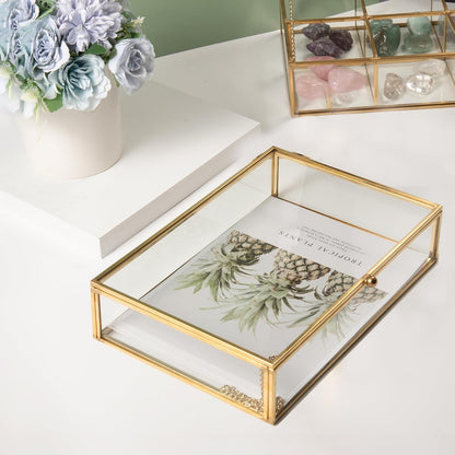 Gold Clear Glass Jewelry Trinket Box Photo Cards Shadow Lidded Box Organizer Collection Display Case Decorative Keepsake Box for Home Deco