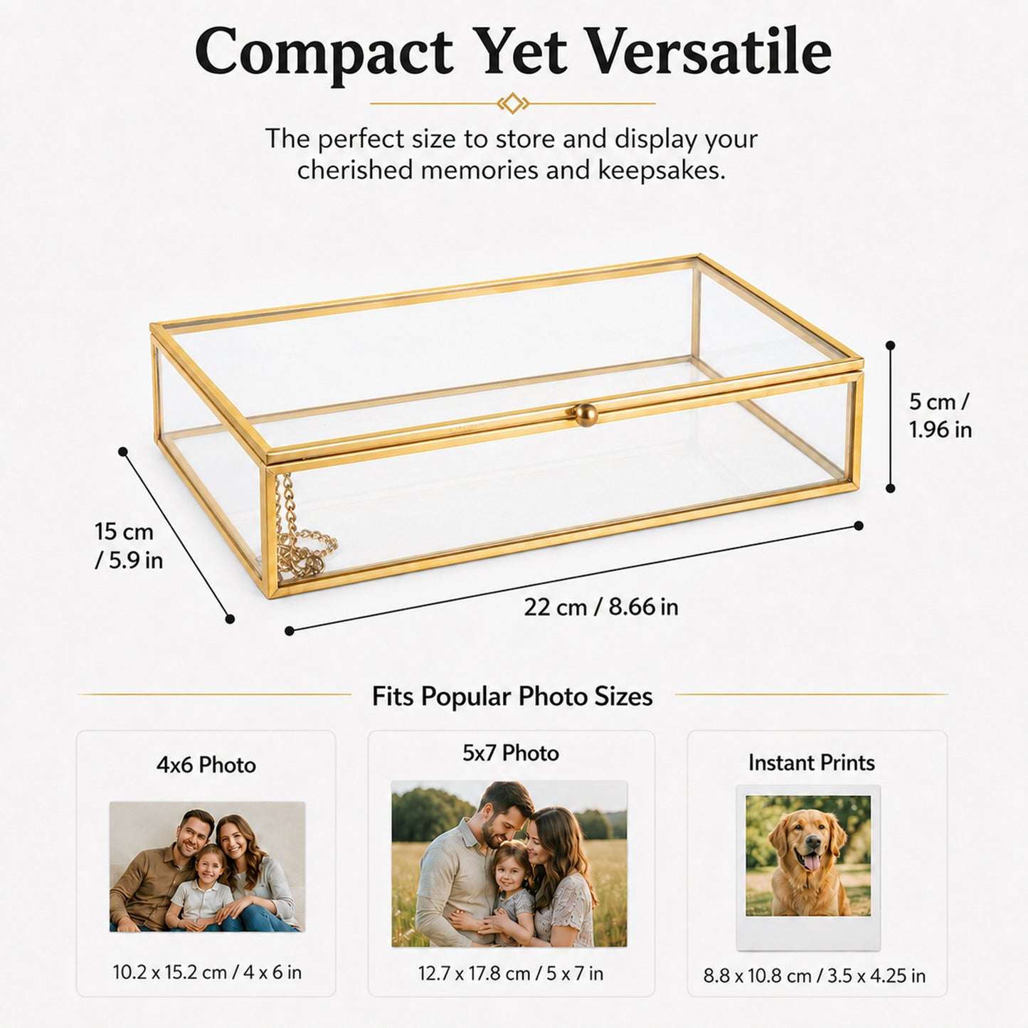 Gold Clear Glass Display Box showing 8.66 x 5.9 x 1.96 inch dimensions for accurate size reference