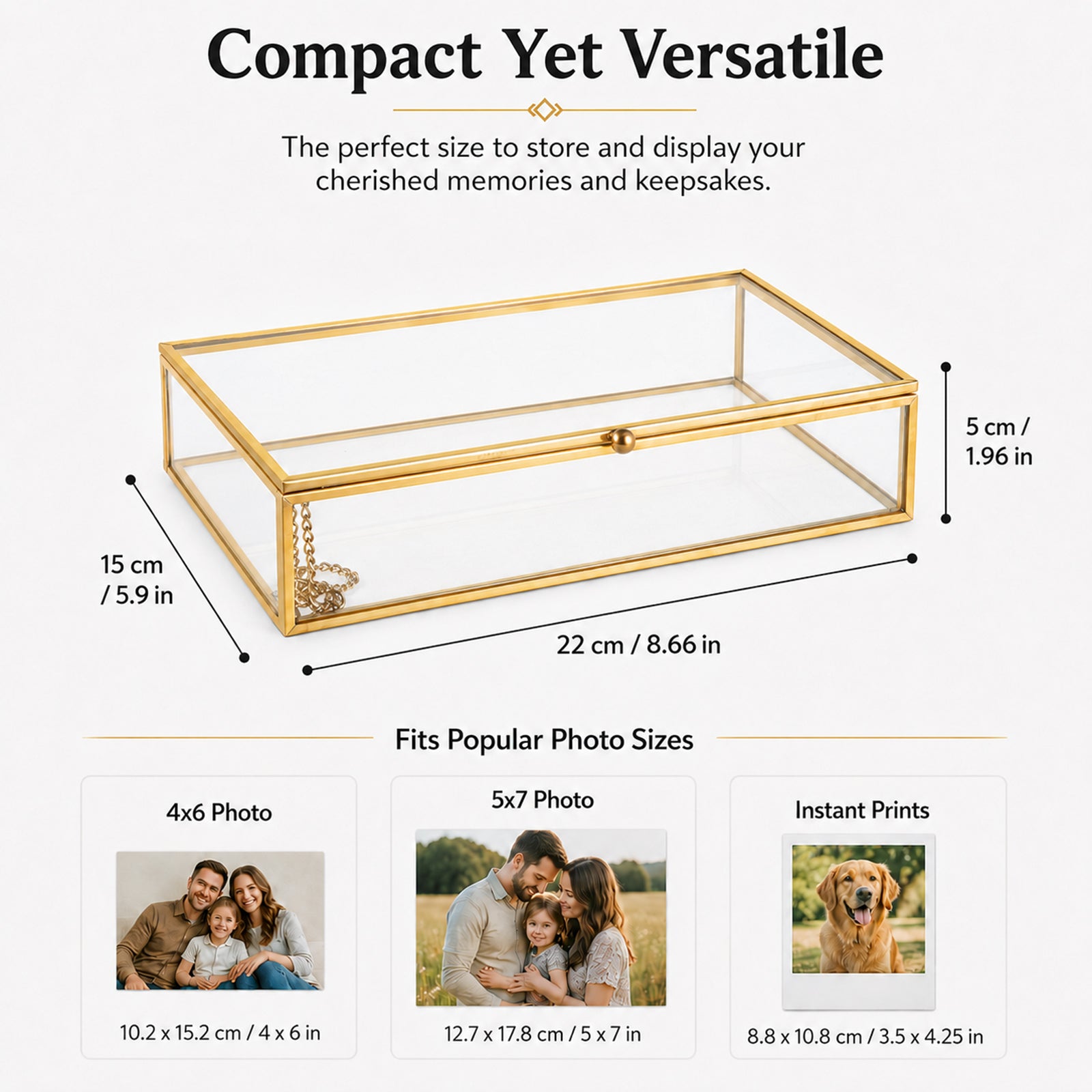 Gold Clear Glass Display Box showing 8.66 x 5.9 x 1.96 inch dimensions for accurate size reference