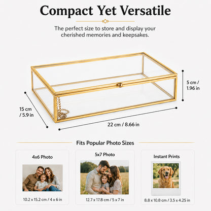 Gold Clear Glass Display Box showing 8.66 x 5.9 x 1.96 inch dimensions for accurate size reference